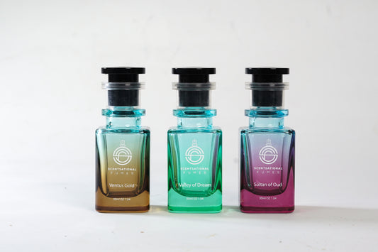 Pack of 3 (premium category)